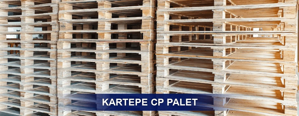 Kartepe Standart Tipler