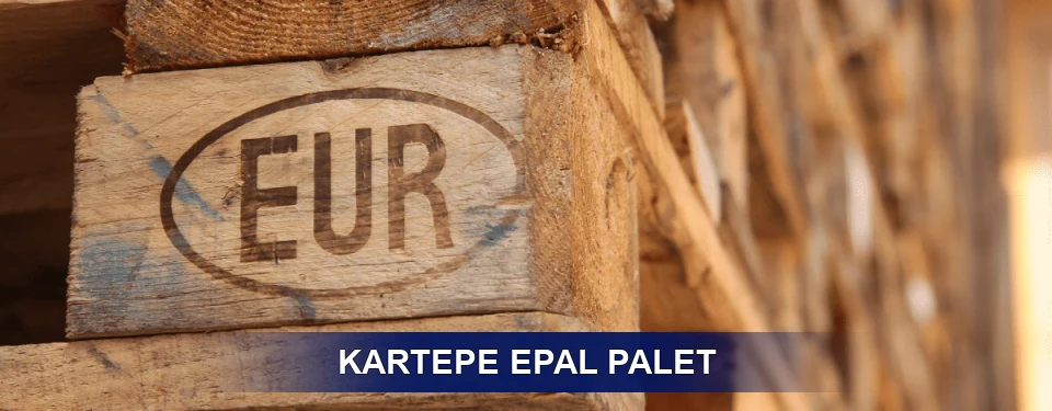Kartepe Standart Yapı