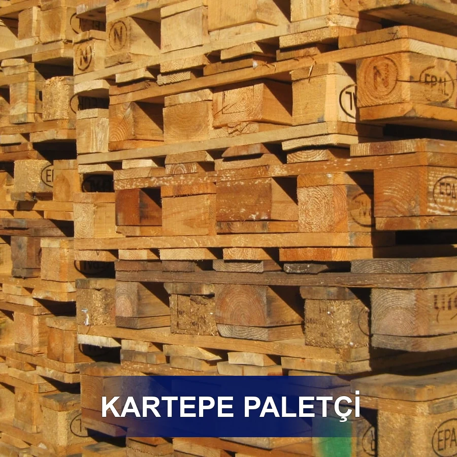 Kartepe Paletçi