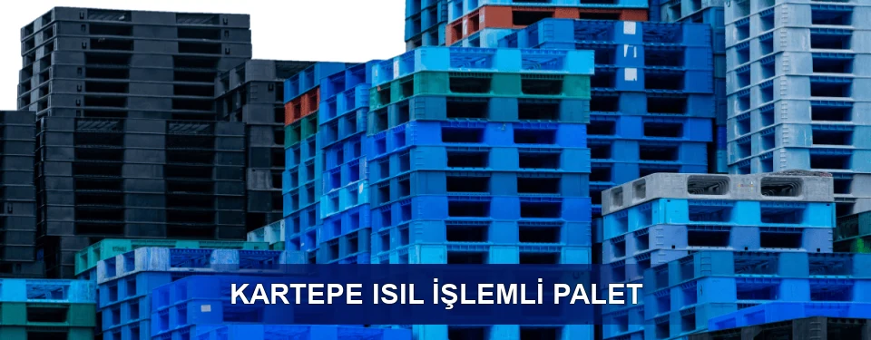 Kartepe İşaretleme
