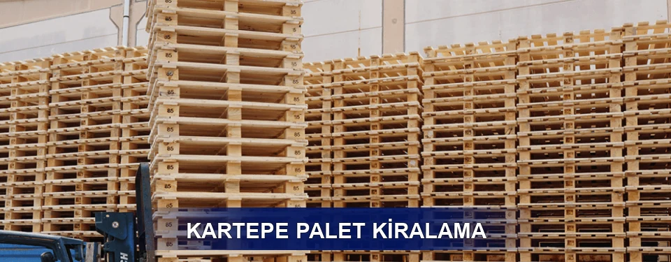 Kartepe Uzun Dönem